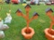 Triple Bird House