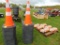 25 NEW Cones