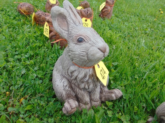 Rabbit