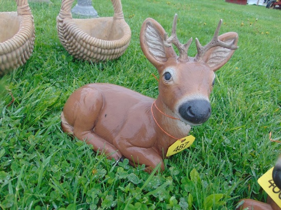 Buck