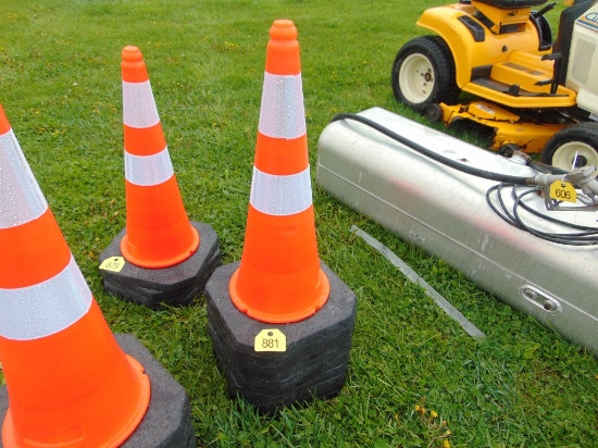 10 NEW Cones