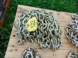 NEW 3/8x20ft Log Chain