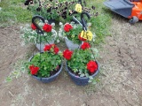 2 Hanging Baskets