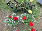 2 Hanging Baskets
