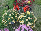 2 Hanging Baskets