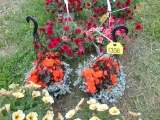 2 Hanging Baskets