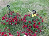 2 Hanging Baskets