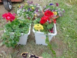 2 Planters