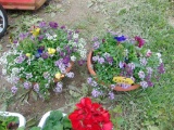 2 Planters