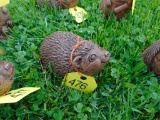 Woodchuck