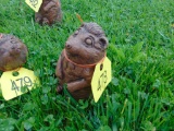 Woodchuck