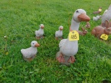 Duck w/Family