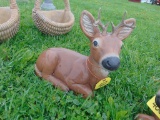 Buck