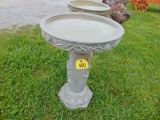 Bird Bath
