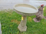 Bird Bath