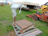Platform Scales