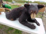 Bear Mount