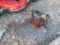 Homelite Chainsaw