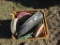 Corn Planter Plates