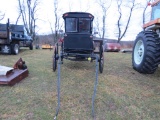 Amish Buggy