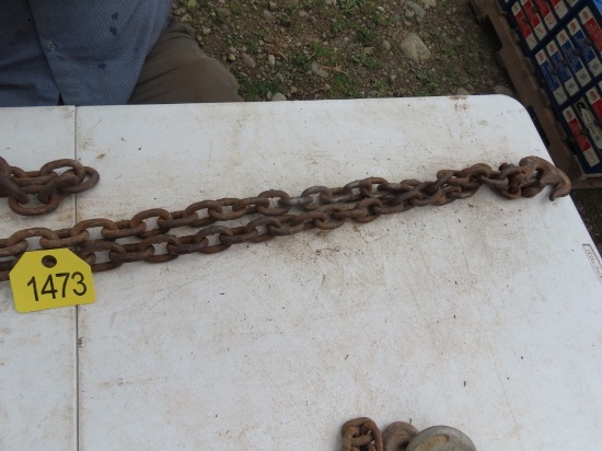 18' Log Chain