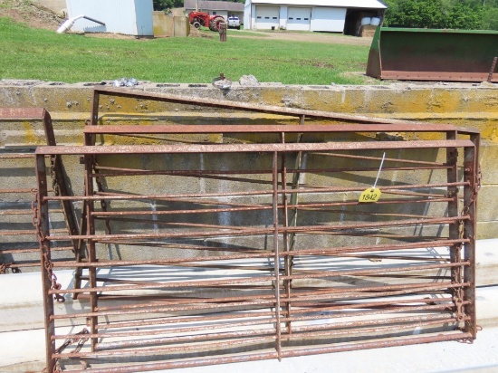 Lot of Hog Panel Gates