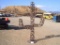 Horseshoe Cactus Sculpture.