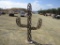 Horseshoe Cactus Sculpture.