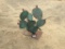 Prickly Pear Cactus Metal Sculpture.