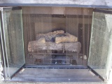 LPG Fireplace Insert.