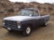 Ford F100 Pickup,