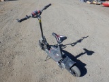Electric Scooter.
