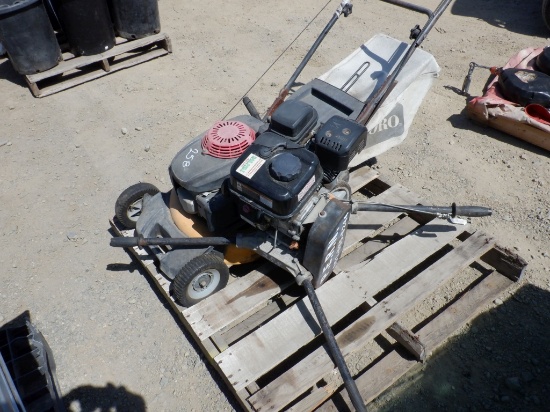 Cub Cadet Gas Push Mower,