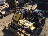 DeWalt 3100PS Walk-Behind Power Washer,