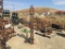 Horseshoe Saguaro Cactus Statue & Rooster Statue.