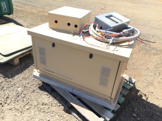 Generac Guardian 8000 Watt Generator,