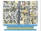 Vacant Parcel in California,