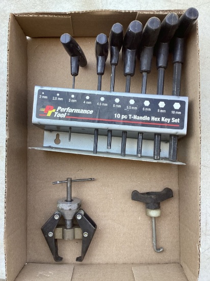 T-Handle Hex Set