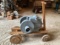 Cushman Club Model 1.5-2hp