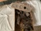 Box full of Ford Model T Parts