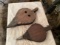 Bellows
