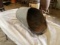 Grain Scoop/Bucket
