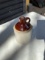 Stone Jug 1/2 Gal