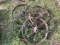 Steel Wheels