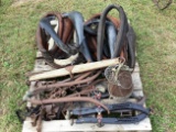 Pallet of Collars, Hames, Nose Baskets, & ETC