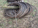 Large Roll of 1