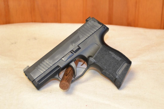 Sig Sauer P365