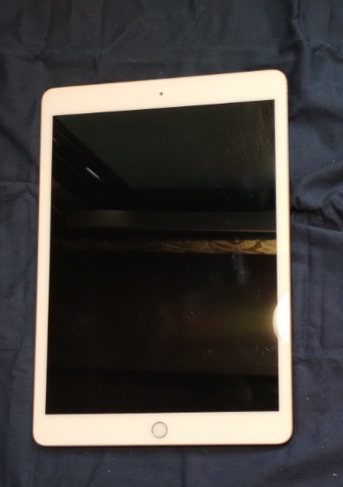 iPad: Model A2270 (HASN'T BEEN TESTED BUT SHOULD WORK)