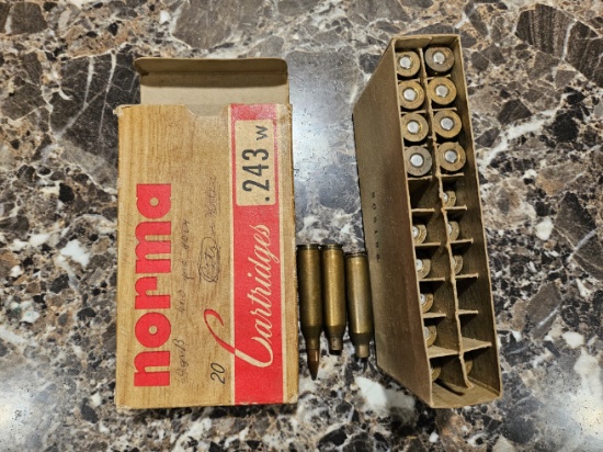 Norma .243w Winchester 75 Grain Hollow Point Ammo