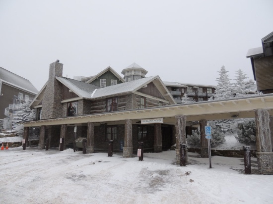 Real Estate Auction Ski In Ski Out Condo